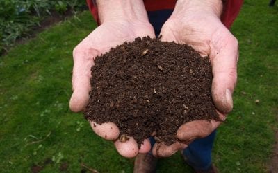 What is Compost?