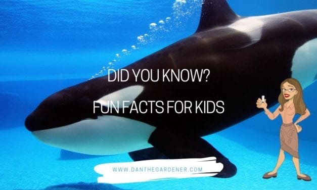 Interesting Facts For Kids- Did You Know That?