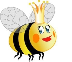 Queenie the bee