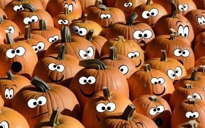 Pumpkin Halloween Cake Recipe