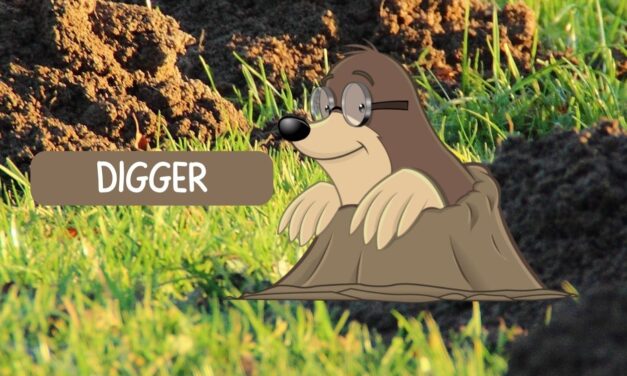Digger The Mole