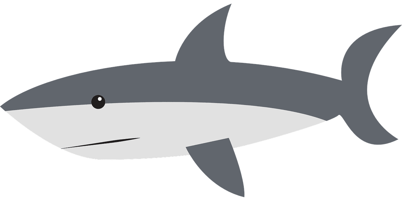 How to draw a shark - Dan The Gardener & Friends