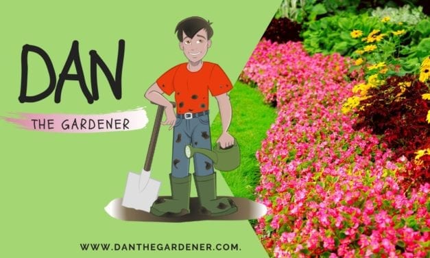 Dan The Gardener