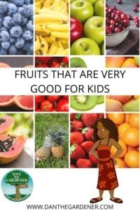 Fruits that are good for kids