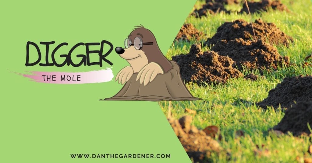 Digger The Mole I Am A Garden Mole Who Can Not See Very Well Dan The 
