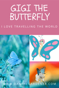 Gigi The Butterfly