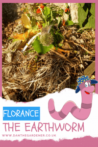 Florance The Earthworm