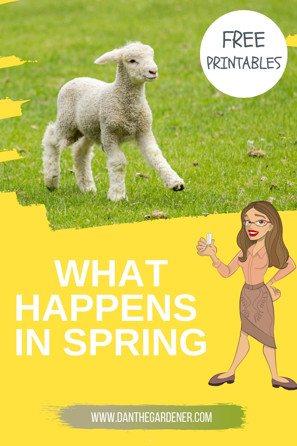 What happens in spring