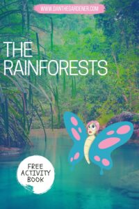 The rainforest information for kids