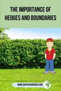 The Importance Of Hedges And Boundaries