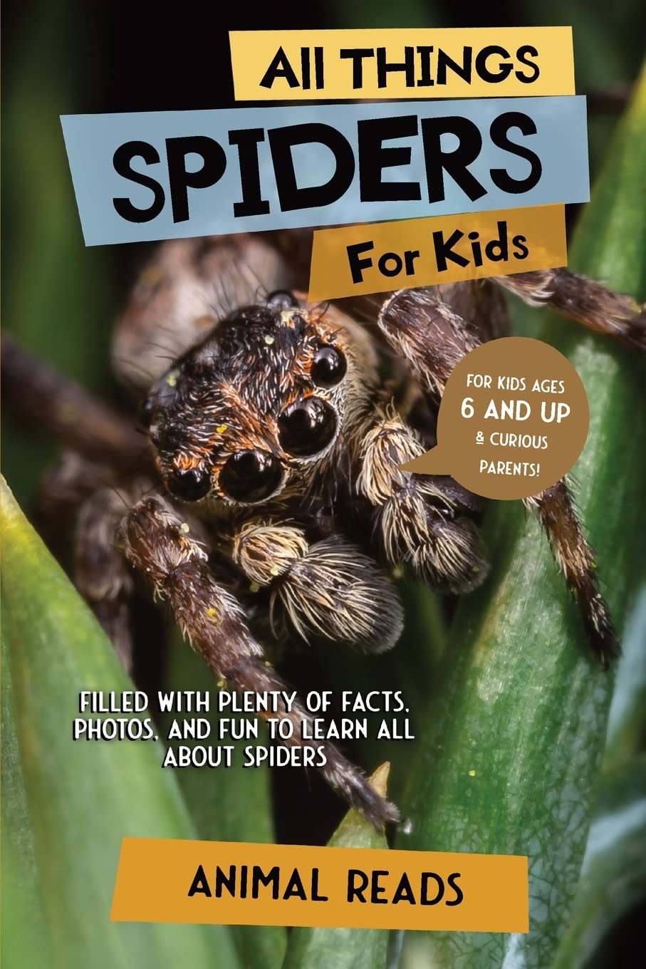 all things spiders for kids