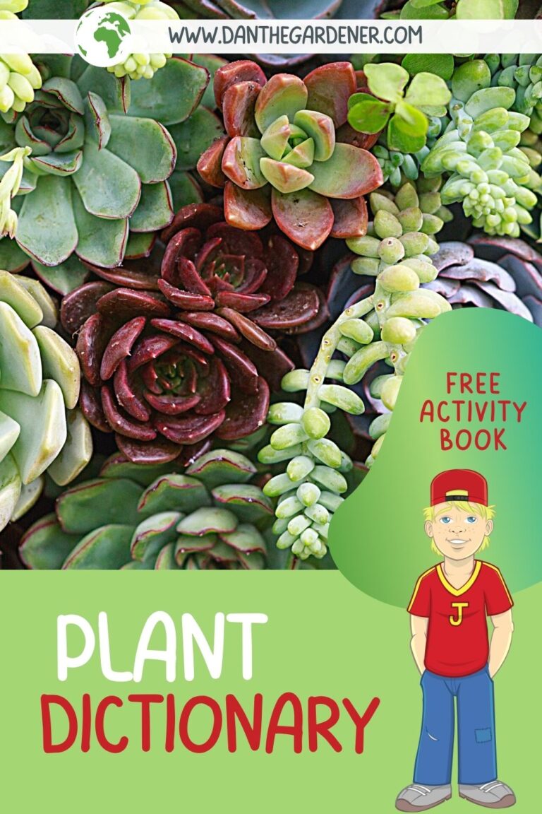 Plant Dictionary & Labelling Plants Dan The Gardener & Friends