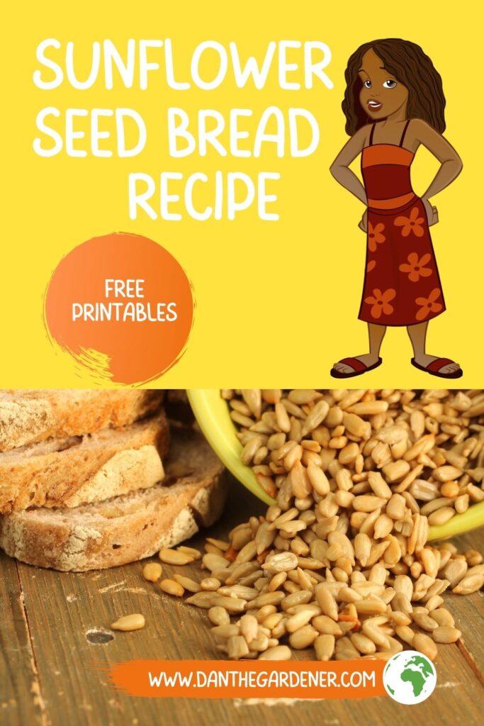 Sunflower Seed Bread Recipe For Kids By Nan Fran Dan The Gardener