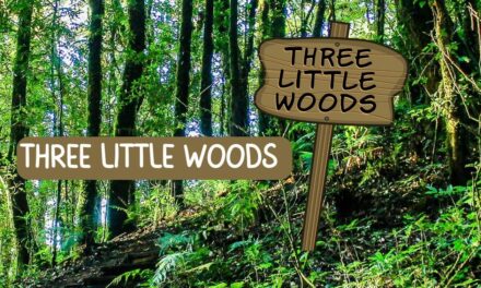 Three Little Woods