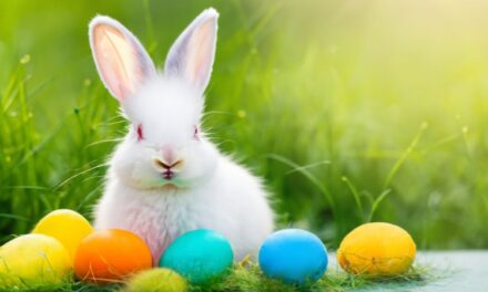 Hopping Into Fun Let’s Explore Easter Adventures