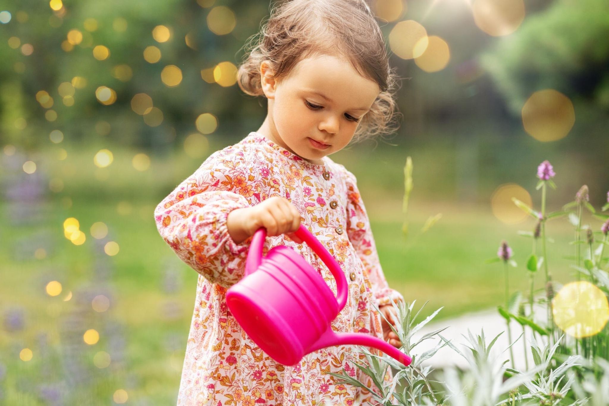 pollinators for kids