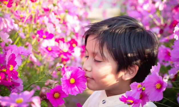 Cultivating Calm: Mindfulness Activities for Kids in the Garden 🌿