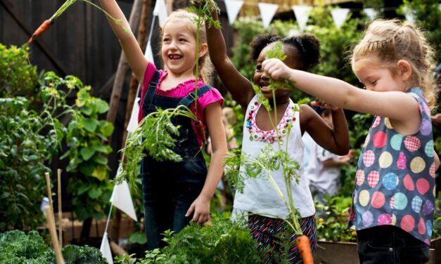 Sprout a Green Adventure: How to Start a Children’s Garden at Home!