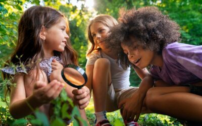 Sensory Adventures: Discovering Nature with All Five Senses!