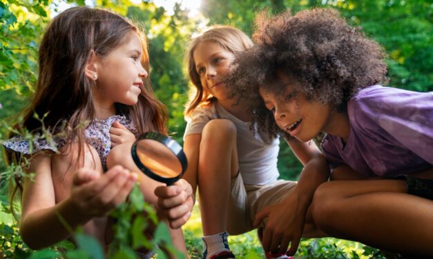 Sensory Adventures: Discovering Nature with All Five Senses!