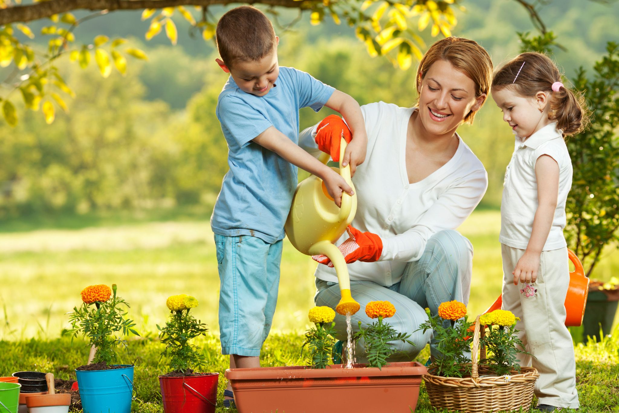 teach kids about bees