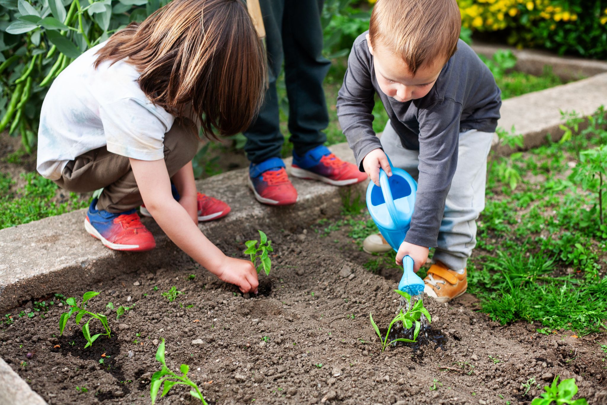 gardening for neurodiverse kids