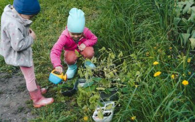 Small Steps, Big Impact: Eco-Activities for Kids to Help Our Planet 🌍
