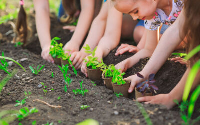 Sunny Smiles: Growing Sunflowers with Dan the Gardener 🌻