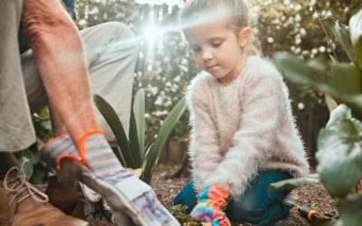 Composting Made Fun: Easy Tips for Families to Reduce Waste and Enrich Soil ๐ฟ