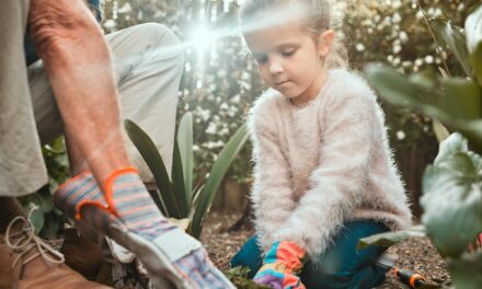Composting Made Fun: Easy Tips for Families to Reduce Waste and Enrich Soil 🌿