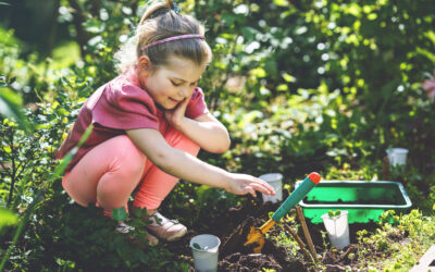 Starting Your Own Children’s Garden: Easy Planting Tips for Little Green Thumbs