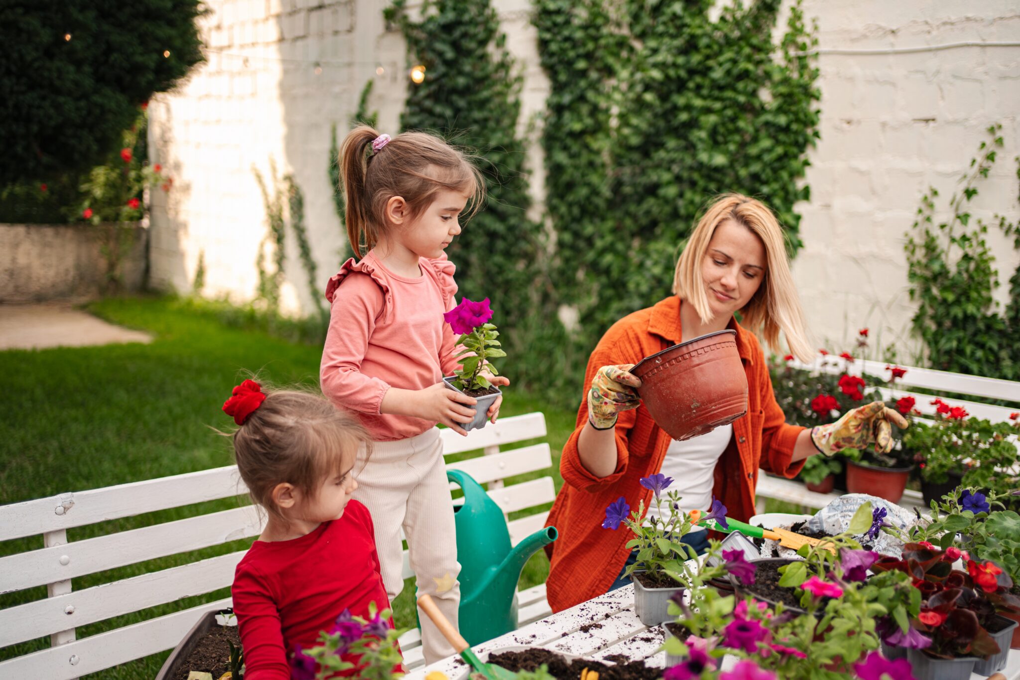 Dan the Gardener’s Educational Adventures: Nature Lessons for Every Child 🌍