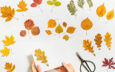 Create Your Own Nature Collage Christmas Cards: A Festive Eco-Craft Adventure