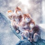 How Animals Stay Snug in Winter