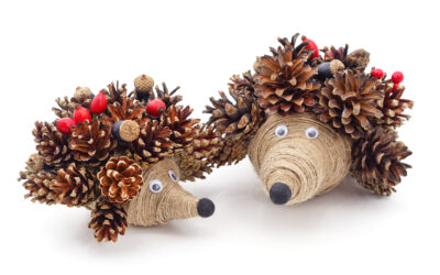 Nature Craft for Kids: Create a Pine Cone Hedgehog!