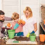 featured image 1768572107