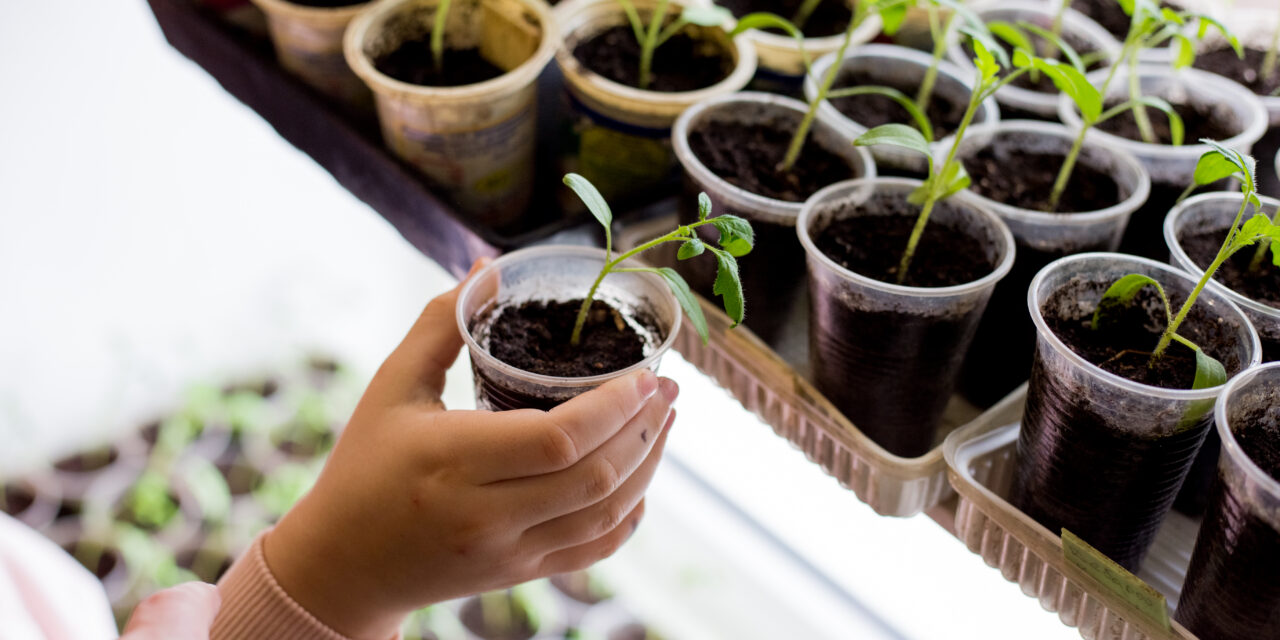 Little Green Fingers: How to Start a Children’s Garden at Home — Step-by-Step Seed Guide