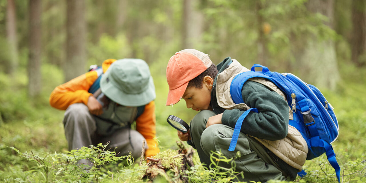 The Great Spring Scavenger Hunt in Three Little Woods