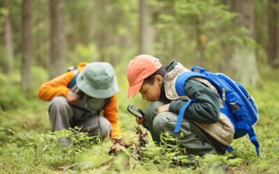 The Great Spring Scavenger Hunt in Three Little Woods