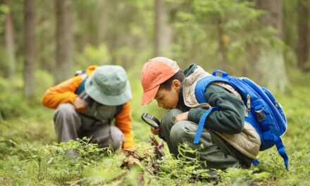 The Great Spring Scavenger Hunt in Three Little Woods