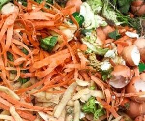 Composting Magic for Families: Turn Kitchen Scraps into Garden Gold