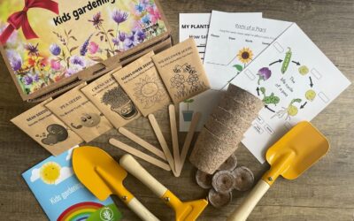 Jasmine’s Mindful Garden: Simple Outdoor Activities to Nurture Calm and Curiosity