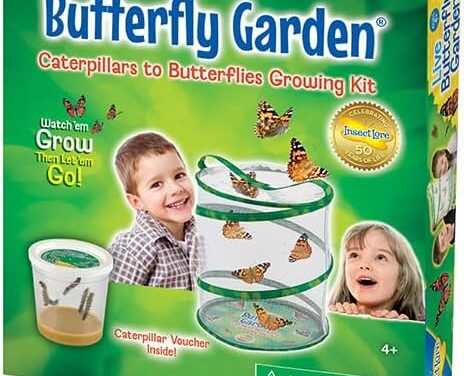 Slow Down and Notice: Garden Mindfulness Activities for Children with Jasmine