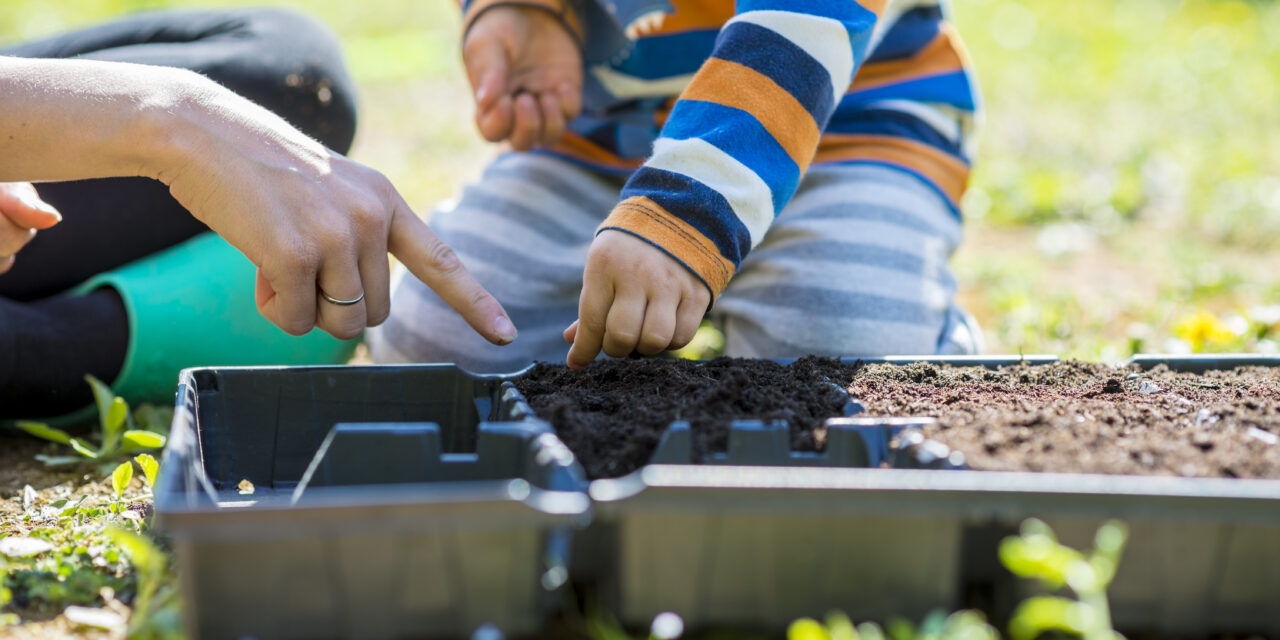 Spring into the Garden with Dan & Friends: 10 Joyful Activities for Ages 4–9