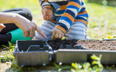 Spring into the Garden with Dan & Friends: 10 Joyful Activities for Ages 4–9