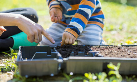 Spring into the Garden with Dan & Friends: 10 Joyful Activities for Ages 4–9