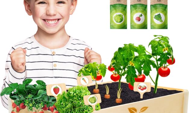 Plant, Play, Grow: How to Start a Children’s Spring Garden at Home