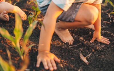 Under Our Feet: Why Worms Are the Garden’s Secret Helpers