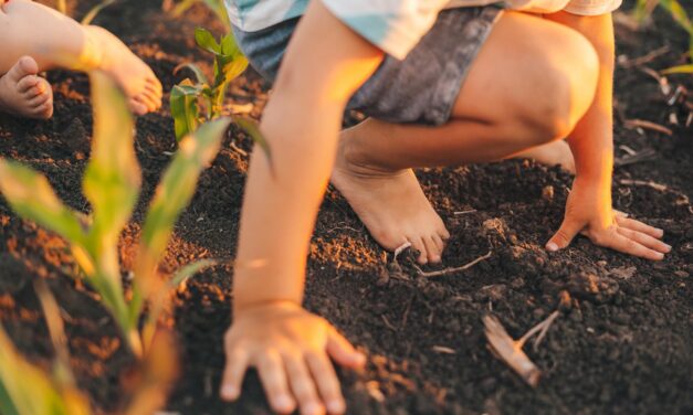 Under Our Feet: Why Worms Are the Garden’s Secret Helpers